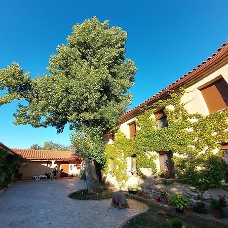 Casa Atenea Θαμόρα Εξωτερικό φωτογραφία