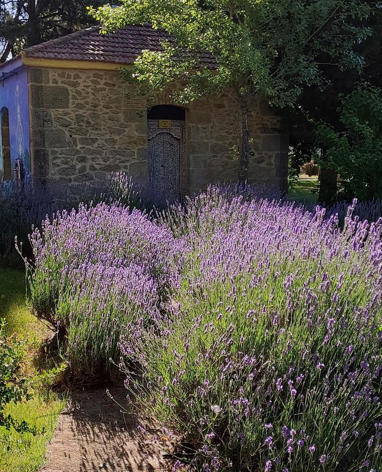 Casa Atenea Θαμόρα Εξωτερικό φωτογραφία